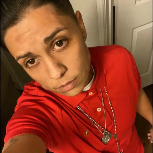 Meet your Posher, Leo - Picture 1 of 1